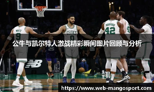 公牛与凯尔特人激战精彩瞬间图片回顾与分析